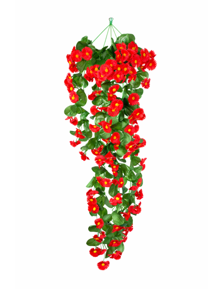 ENREDADERA COLGANTE MARGARITA 77CM