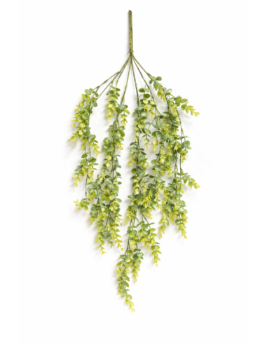 GOLGANTE EUCALYPTUS 85CM