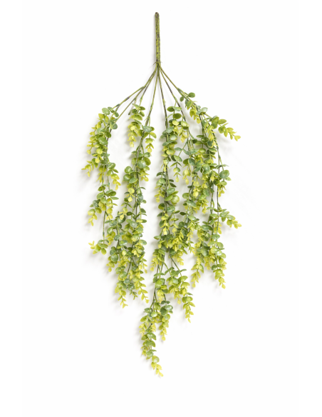 GOLGANTE EUCALYPTUS 85CM
