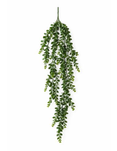 REF39510 COLGANTE EUCALYPTUS 1M
