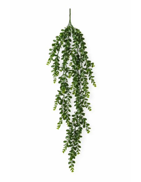 REF39510 COLGANTE EUCALYPTUS 1M