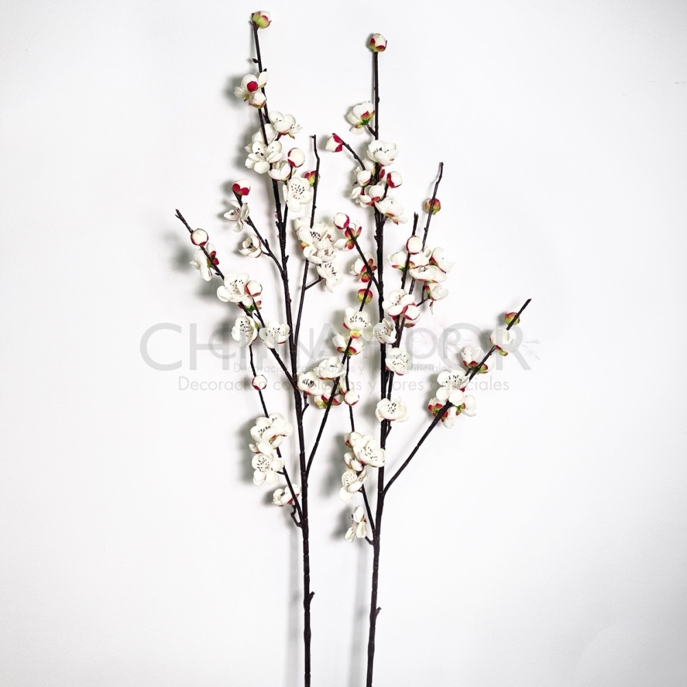 BAI-RAMAS ALMENDRO BLANCO 100CM