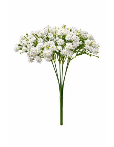 PANICULATA BLANCA 30CM
