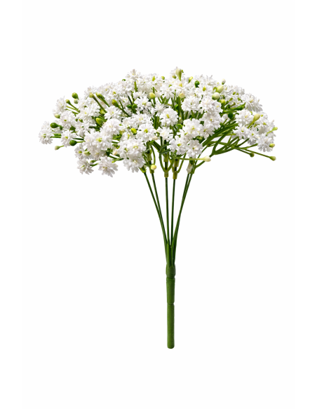 PANICULATA BLANCA 30CM