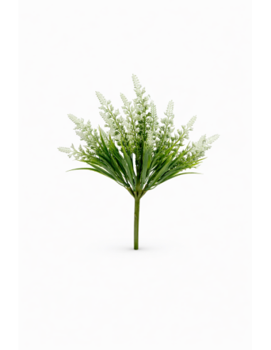 MINI LAVANDA 35CM