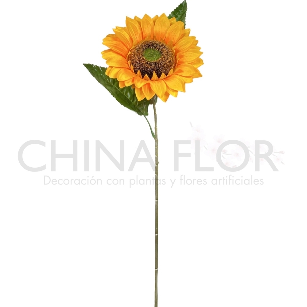 RAMAS GIRASOL M 75CM