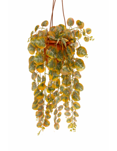 PLANTA COLGANTE DE EUCALIPTO 60CM