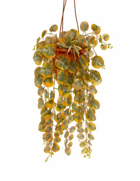 PLANTA COLGANTE DE EUCALIPTO 60CM
