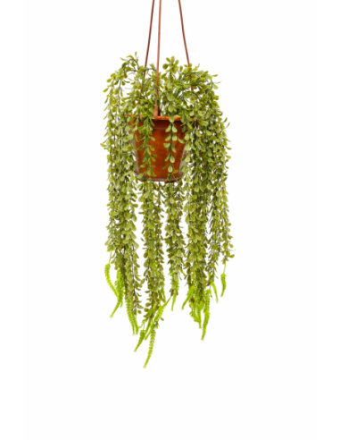 PLANTA COLGANTE DE HELECHO 60CM