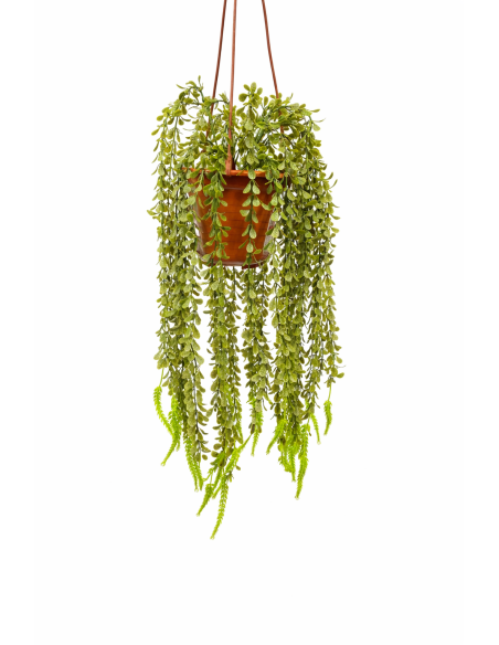 PLANTA COLGANTE DE HELECHO 60CM