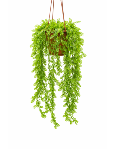 PLANTA COLGANTE TIPO HELECHO 60CM