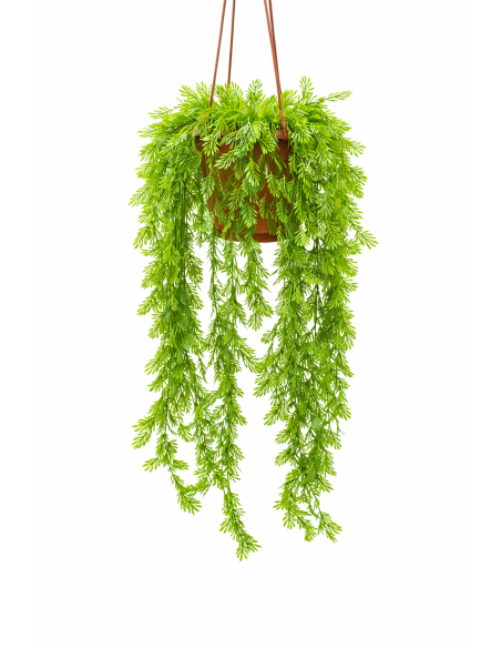 PLANTA COLGANTE TIPO HELECHO 60CM
