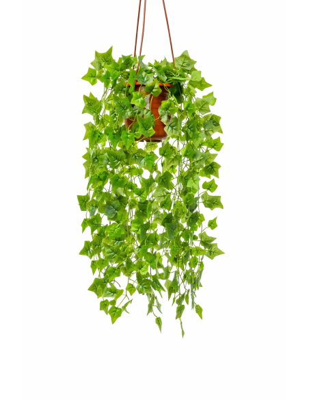 HIEDRA COLGANTE 60CM