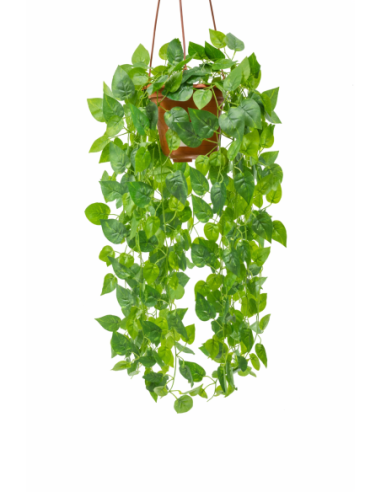 HIEDRA COLGANTE 60CM