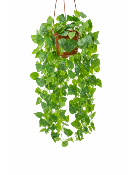 HIEDRA COLGANTE 60CM