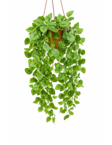 HIEDRA COLGANTE 60CM