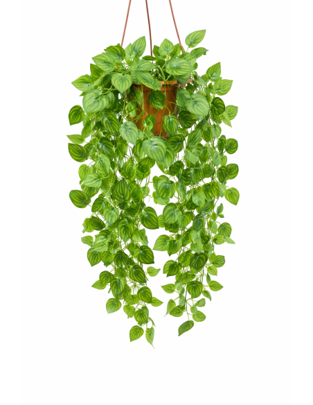 HIEDRA COLGANTE 60CM