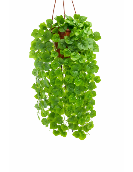 HIEDRA COLGANTE 60CM