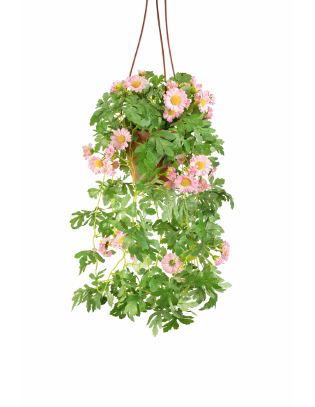 PLANTA COLGANTE DE CRISANTEMOS 55CM