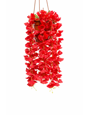PLANTA COLGANTE DE BEGONIA 60CM