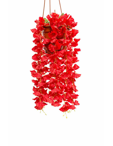 PLANTA COLGANTE DE BEGONIA 60CM