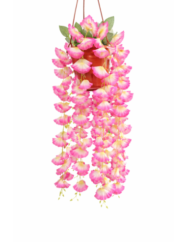 PLANTA COLGANTE DE BEGONIA 60CM