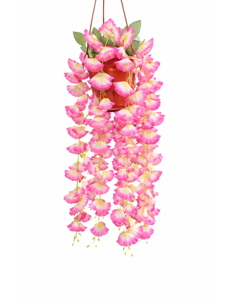 PLANTA COLGANTE DE BEGONIA 60CM