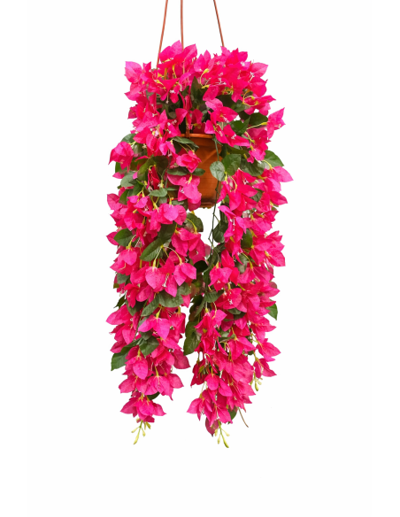 PLANTA COLGANTE DE BUGANVILLA 60CM