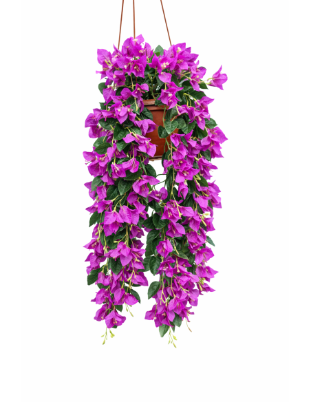 PLANTA COLGANTE DE BUGANVILLA 60CM
