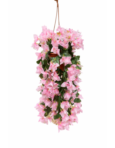 PLANTA COLGANTE DE BUGANVILLA 60CM