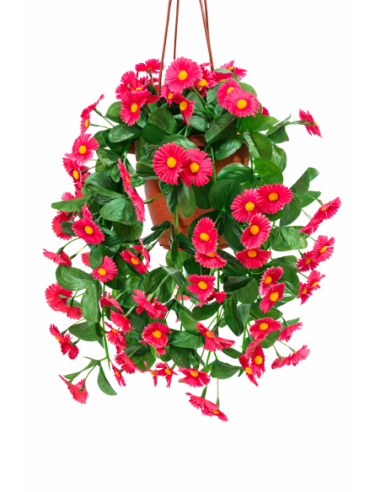 PLANTA COLGANTE DE MARGARITAS 35CM