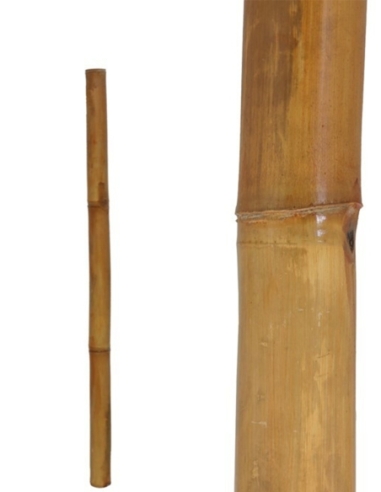 BAMBU GRANDE 7*150CM