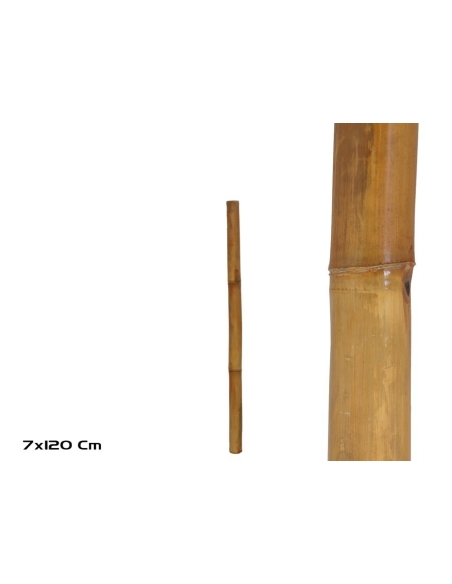 PALO BAMBU CLASIC 7*120CM MAHONEY
