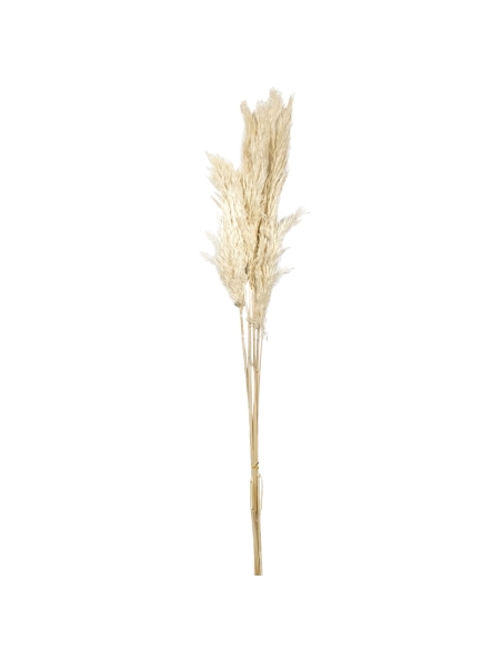 BAI-FLORES SECAS PLUMA 85CM