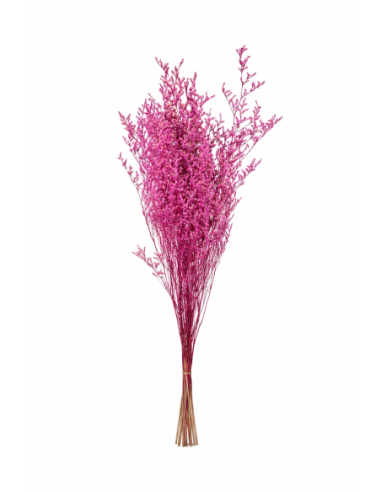 FLOR DE EUCALIPTO