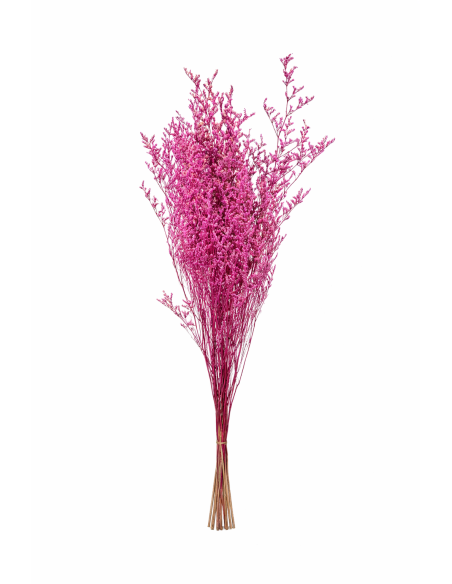 FLOR DE EUCALIPTO