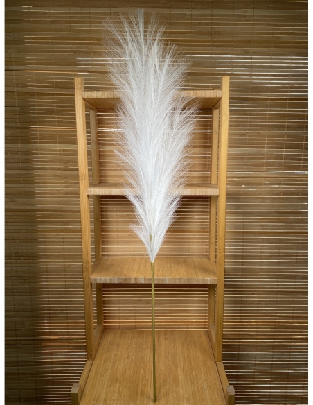 PLUMA