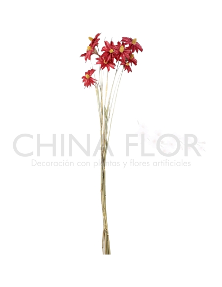 HONG-FLORES SECAS 67CM