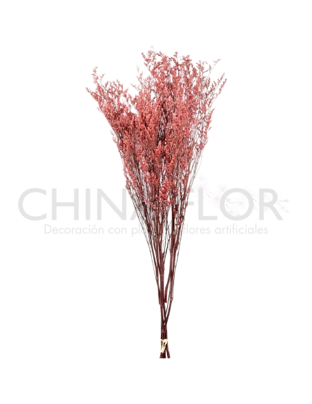 HONG-FLORES SECAS 80CM