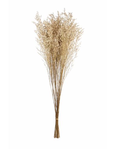 ZONG-FLORES SECAS 80CM