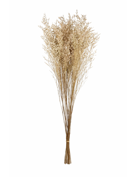 ZONG-FLORES SECAS 80CM