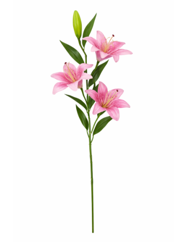 VARA LIRIO X3 100CM
