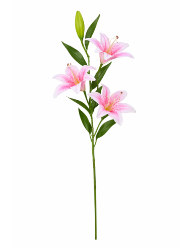 VARA LIRIO X3 100CM