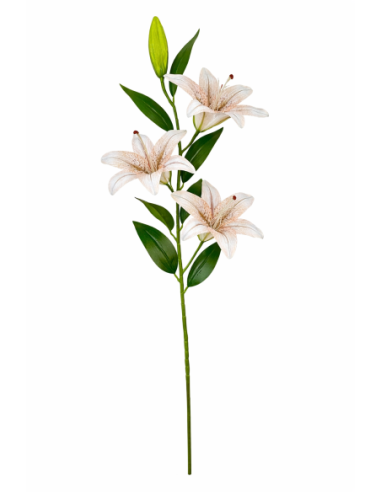 VARA LIRIO X3 100CM
