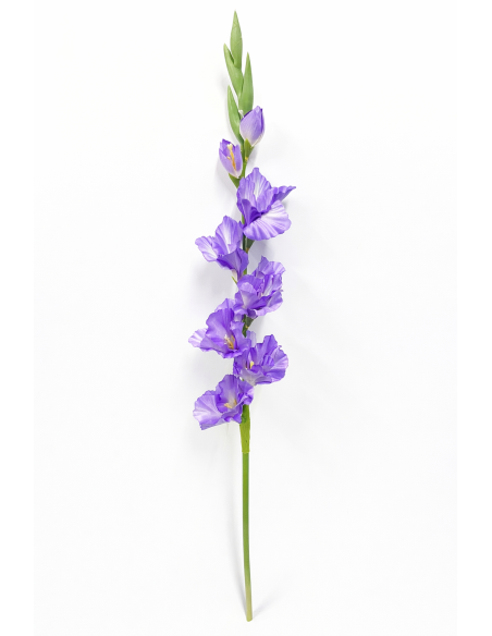 GLADIOLO MORADO X9 80CM