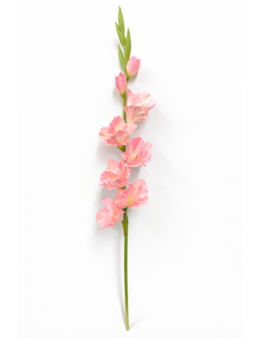 GLADIOLO ROSA X9 80CM