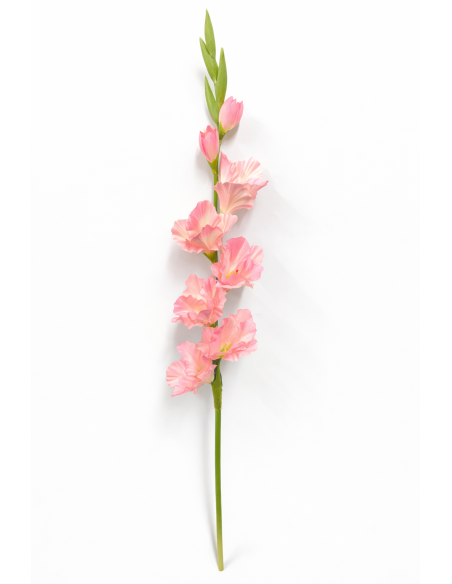 GLADIOLO ROSA X9 80CM