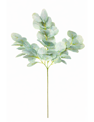 VARA EUCALIPTO 70CM