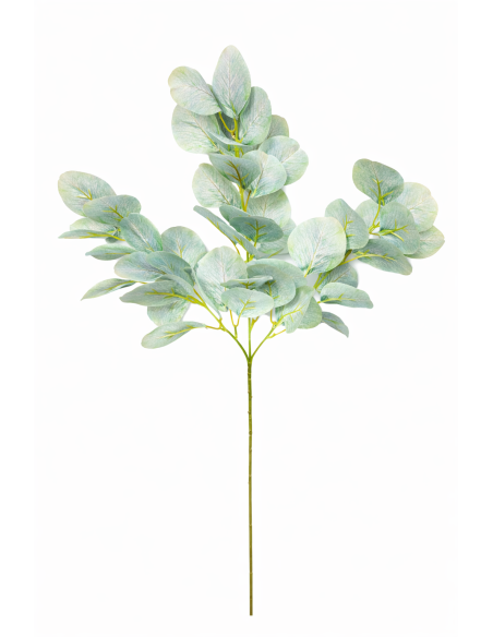 VARA EUCALIPTO 70CM