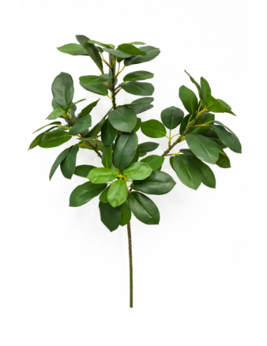 RAMA DE FICUS 65CM